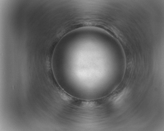 X0000073830469200608101208