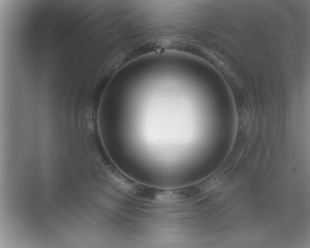 X0000073830470200608101208