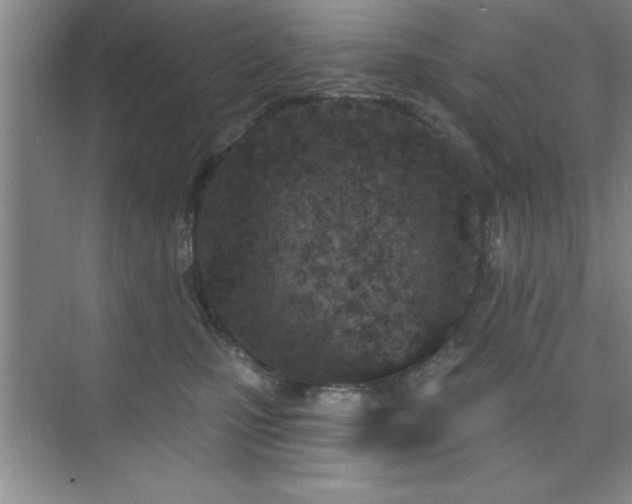 X0000073830471200608101208