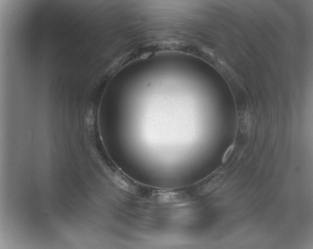 X0000073830472200608101208