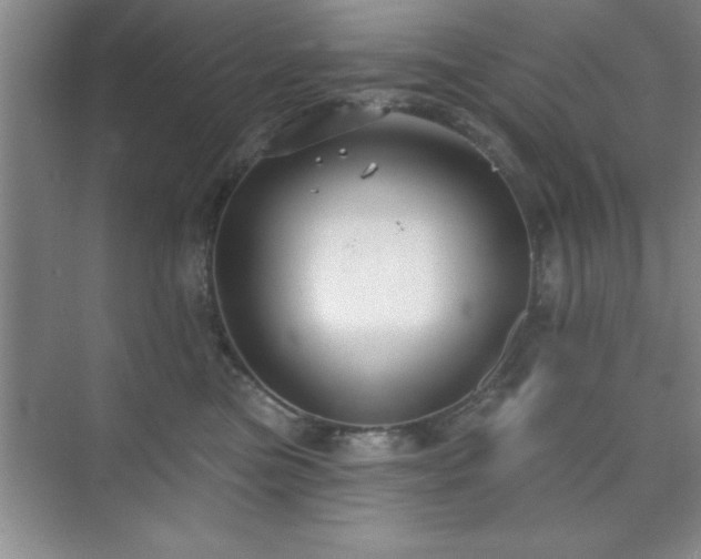 X0000073830473200608101208