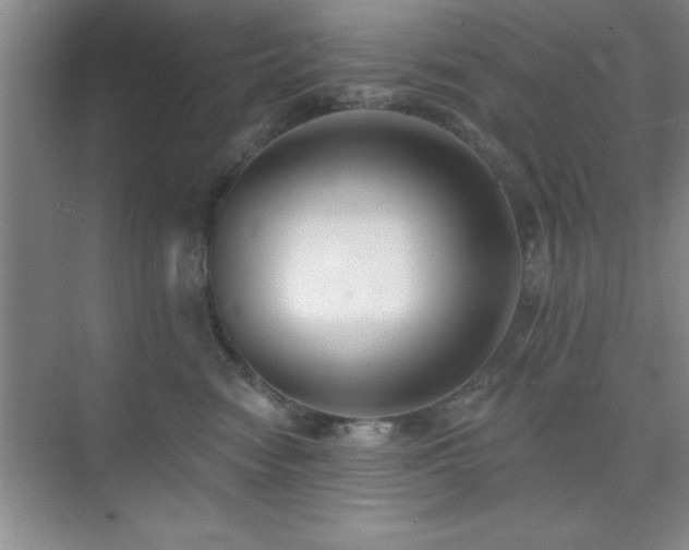 X0000073830474200608101208