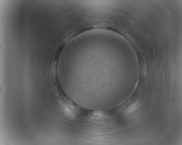 X0000073830475200608101208