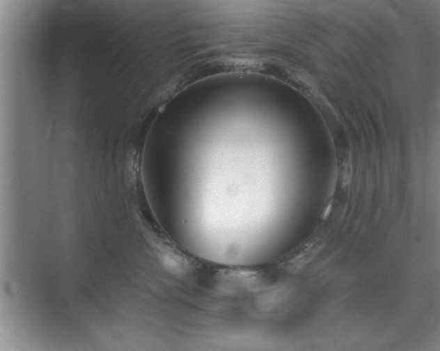 X0000073830476200608101208