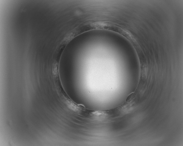 X0000073830477200608101208