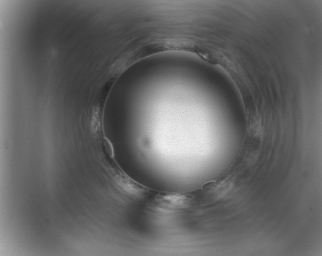 X0000073830478200608101208