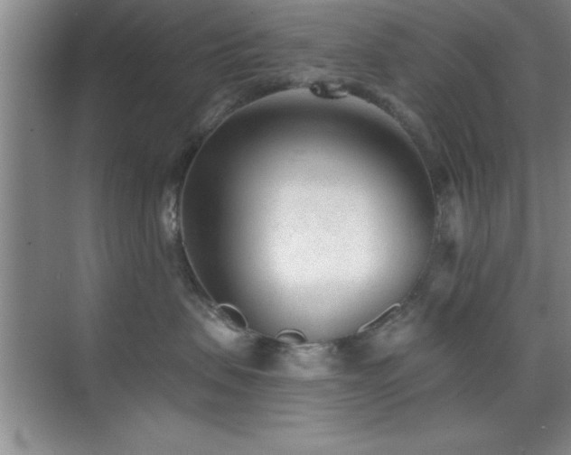 X0000073830479200608101208