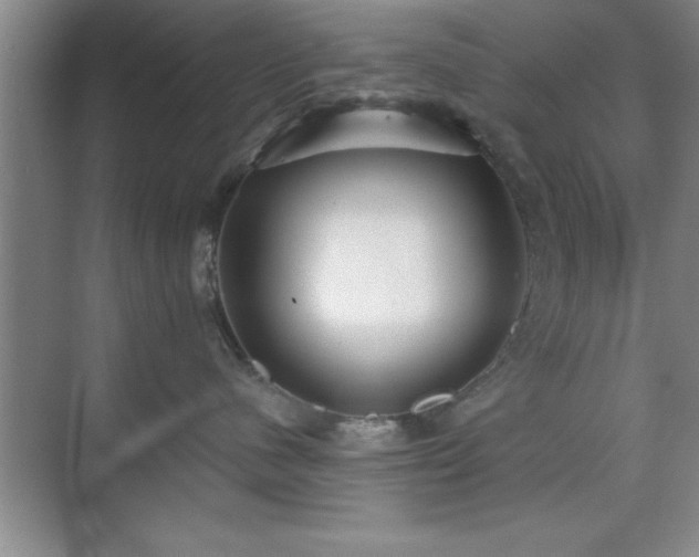 X0000073830480200608101208