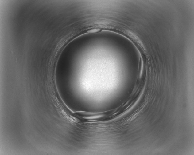 X0000073830481200608101207