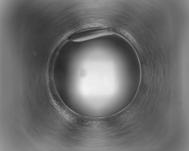 X0000073830482200608101207