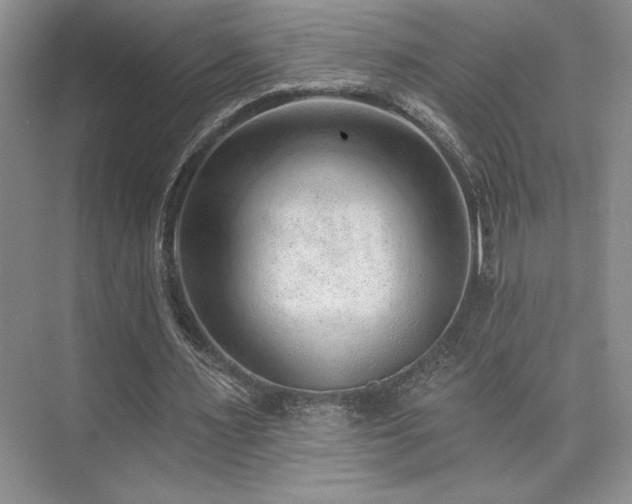 X0000073830483200608101207