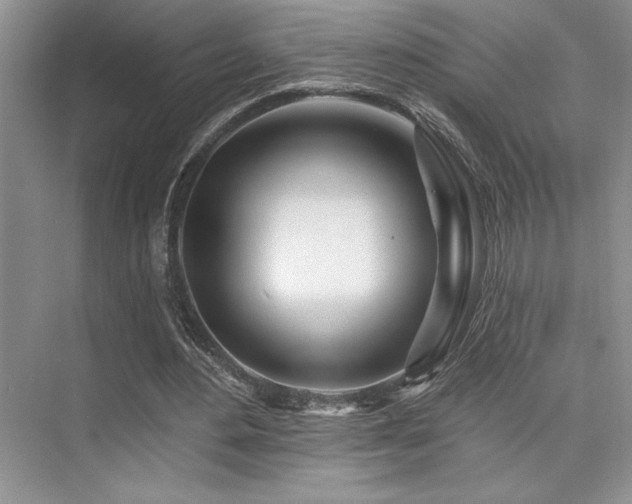 X0000073830484200608101207