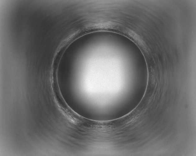 X0000073830486200608101207