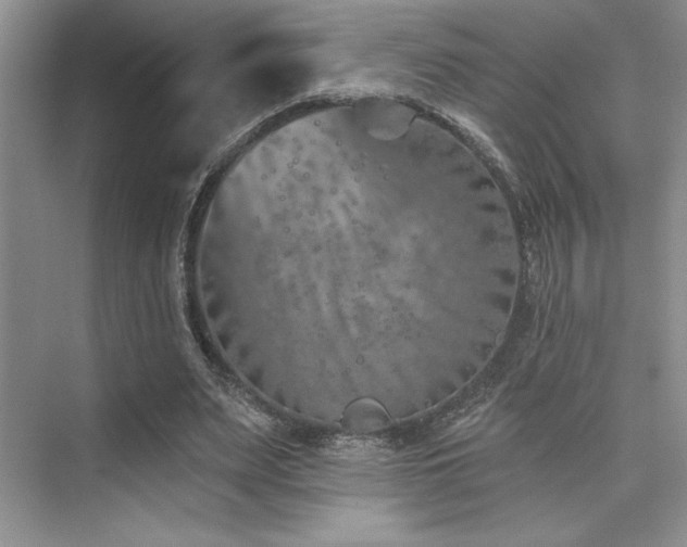 X0000073830487200608101207