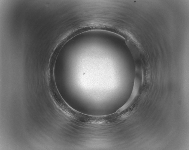 X0000073830488200608101207