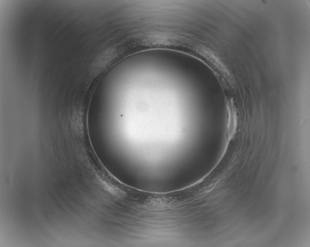 X0000073830489200608101207