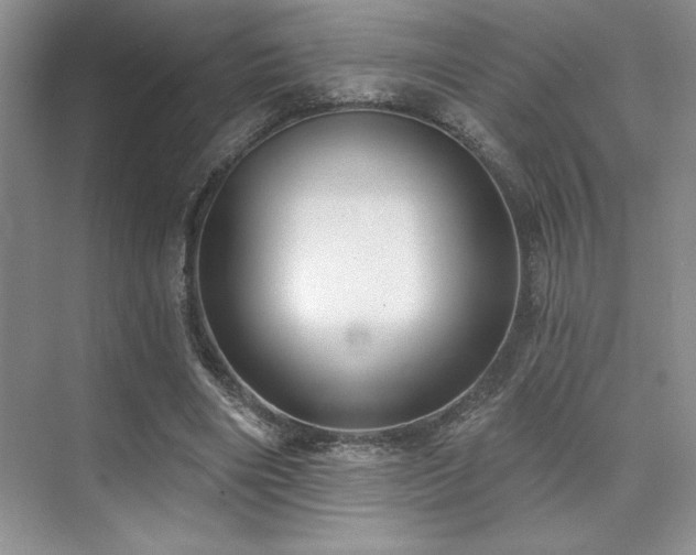 X0000073830490200608101207