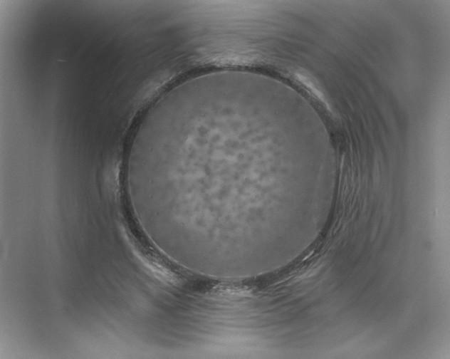 X0000073830491200608101207