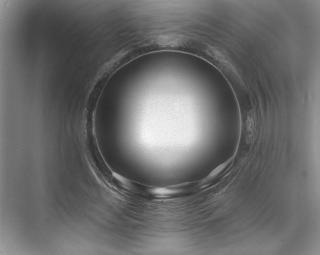 X0000073830492200608101207