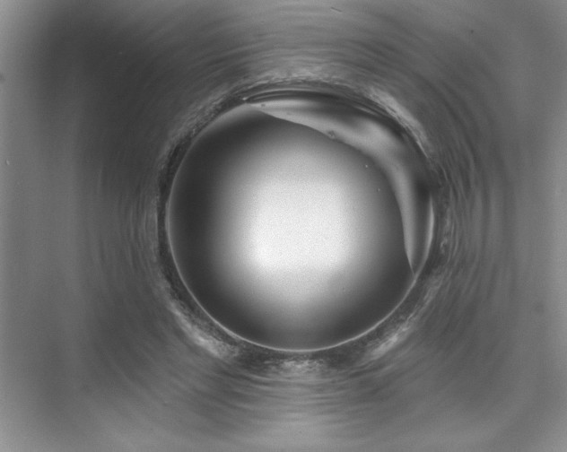 X0000073830493200608101207