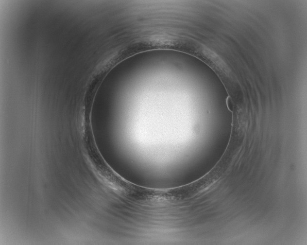 X0000073830494200608101207