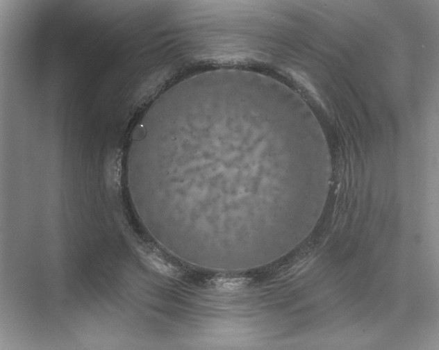 X0000073830495200608101207