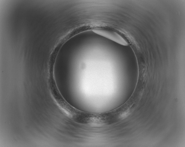 X0000073830496200608101207