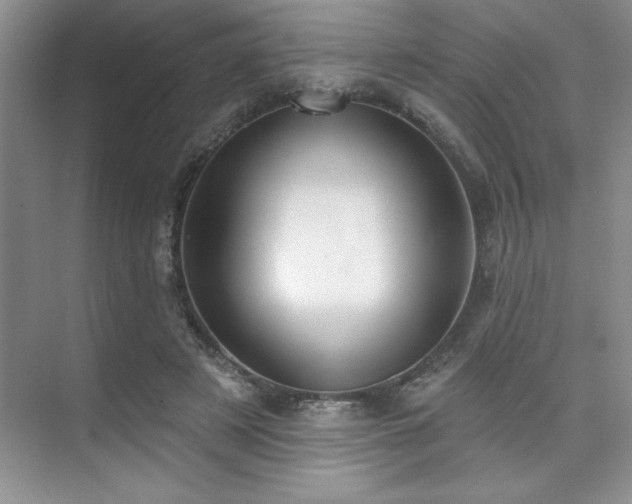 X0000073830497200608101207