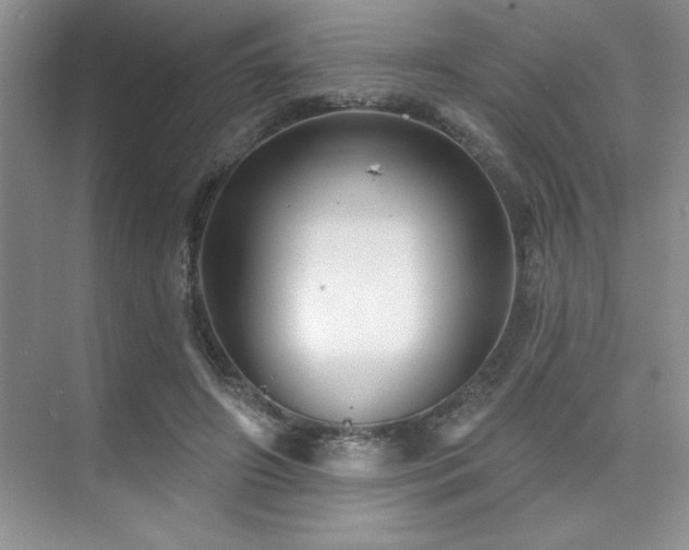 X0000073830498200608101207