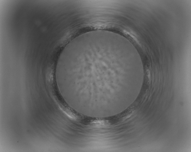 X0000073830499200608101207