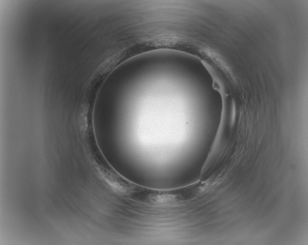 X0000073830501200608101207