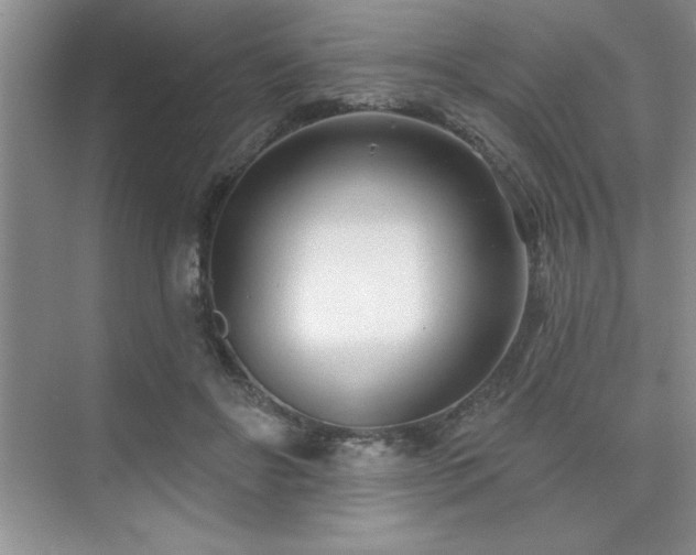 X0000073830502200608101207