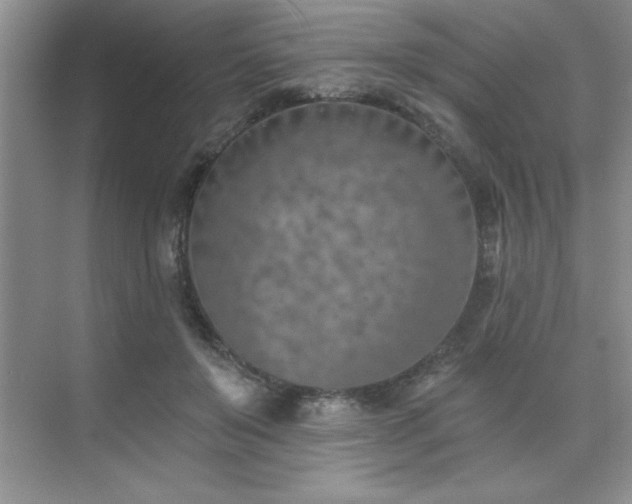 X0000073830503200608101207