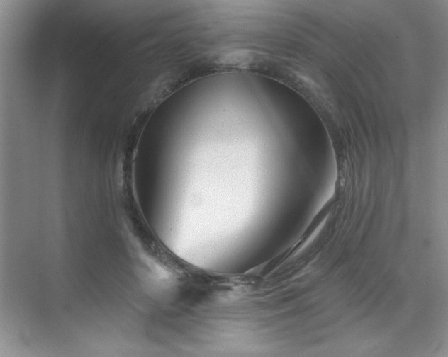 X0000073830504200608101207