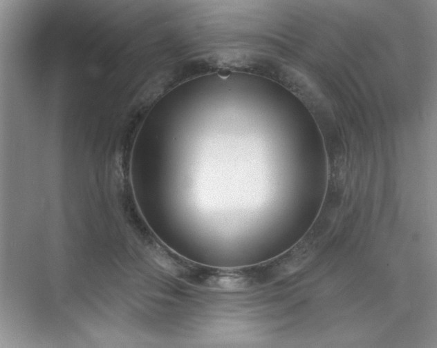 X0000073830506200608101207