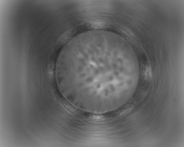 X0000073830507200608101207