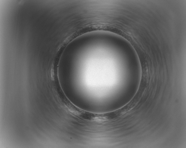 X0000073830508200608101207