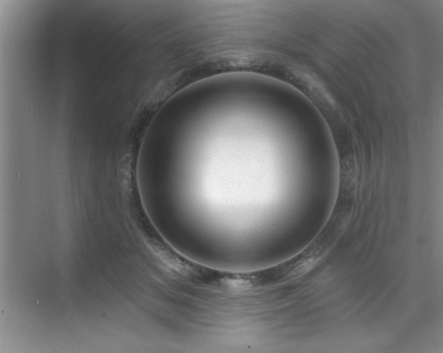 X0000073830509200608101207