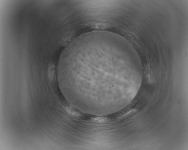 X0000073830511200608101207