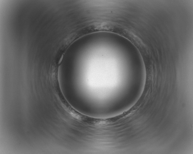 X0000073830513200608101207