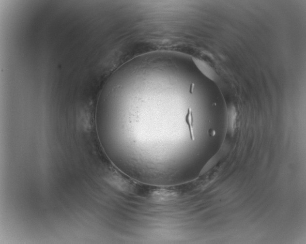 X0000073830515200608101207