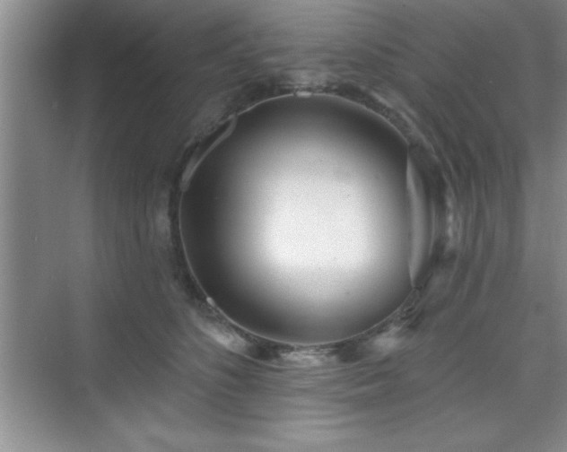 X0000073830516200608101207