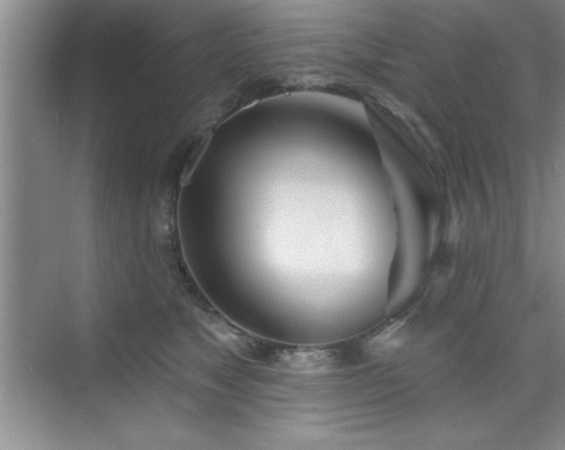 X0000073830517200608101207