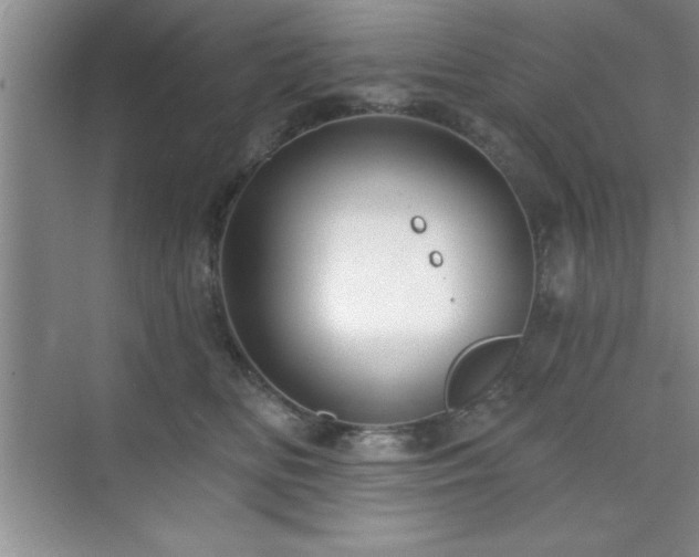 X0000073830518200608101207