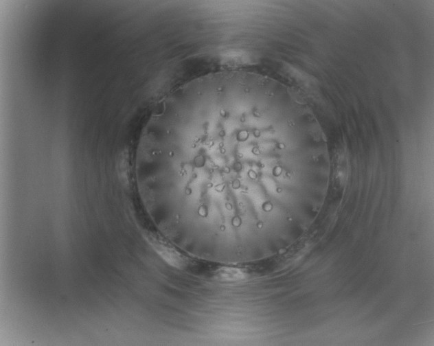 X0000073830519200608101207