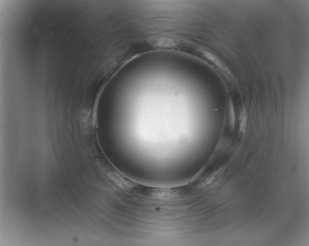 X0000073830521200608101207