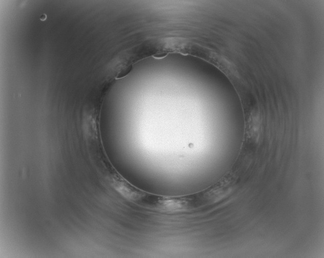 X0000073830522200608101207