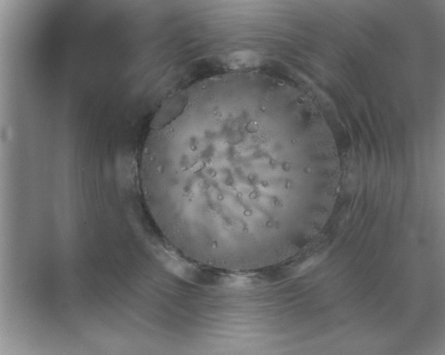 X0000073830523200608101207