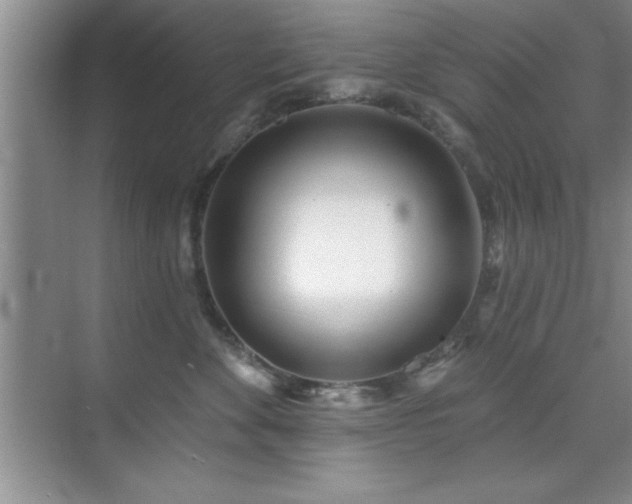 X0000073830524200608101207