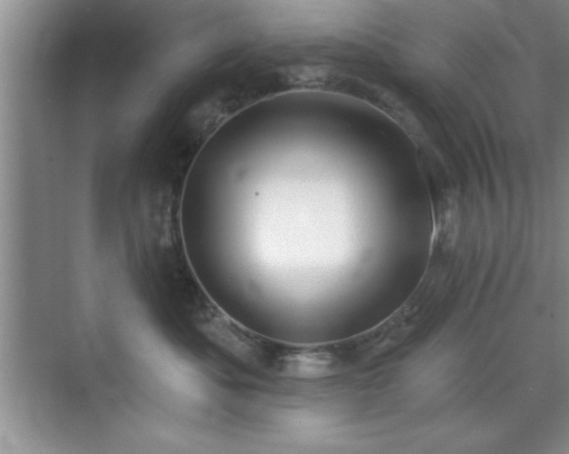 X0000073830525200608101207